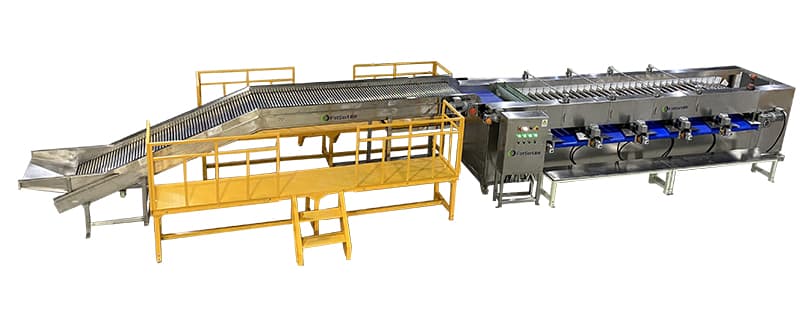 images/1700126261993longon sorting grading line.jpg